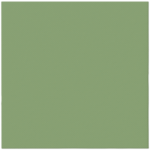 Serwetki Flizelinowe Zielone 50szt Paw - obrazek 2